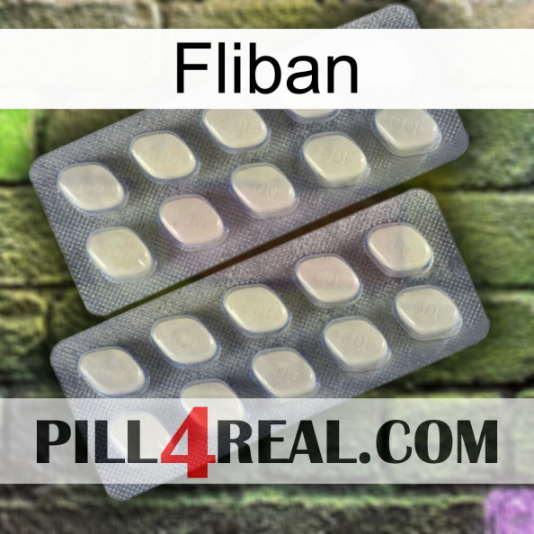 Fliban 07.jpg